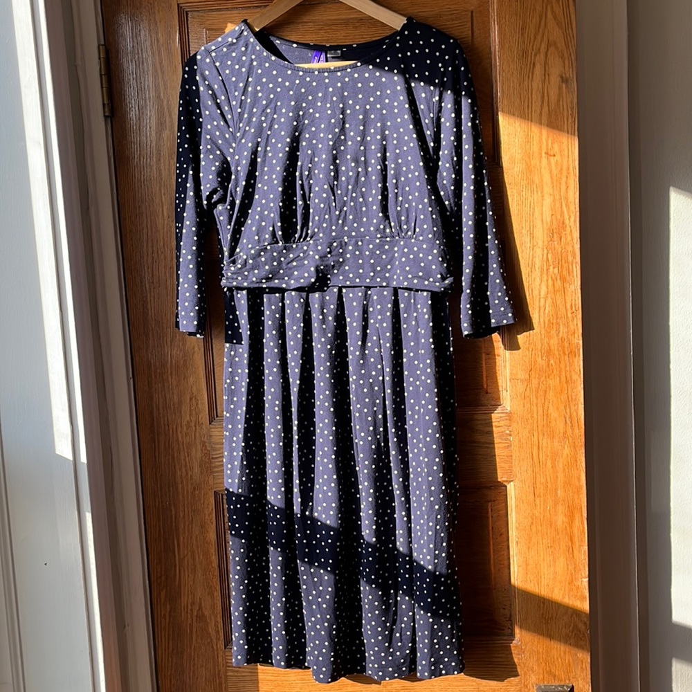 Seraphine Polka Dot Maternity & Nursing Dress